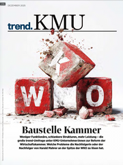 trend.KMU Dezember 2025 (E-Paper)